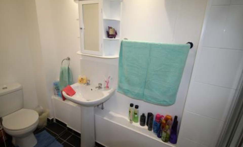 viceroyhouse5-bathroom